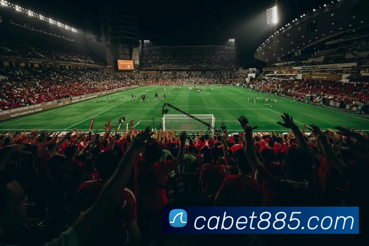 ca亚洲城APP 封面图